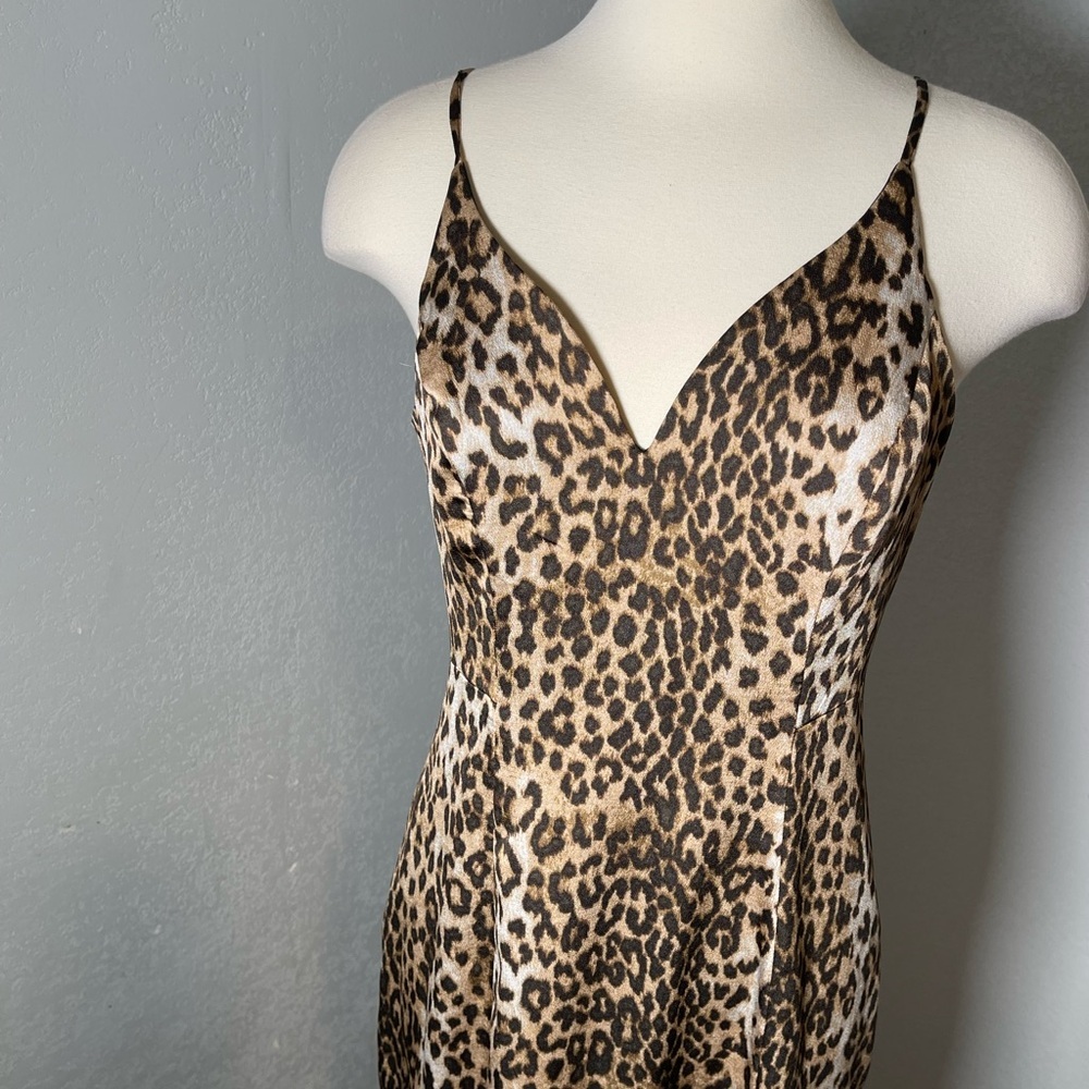 Express Leopard Print Dress - Picture 3 of 7